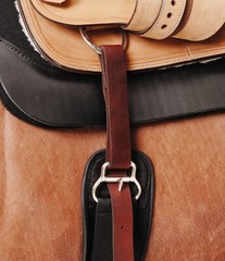 Western Saddle Cinch -Stainless Steel – SNUGGIT Roller – 24″,27″,30″,33″,36″