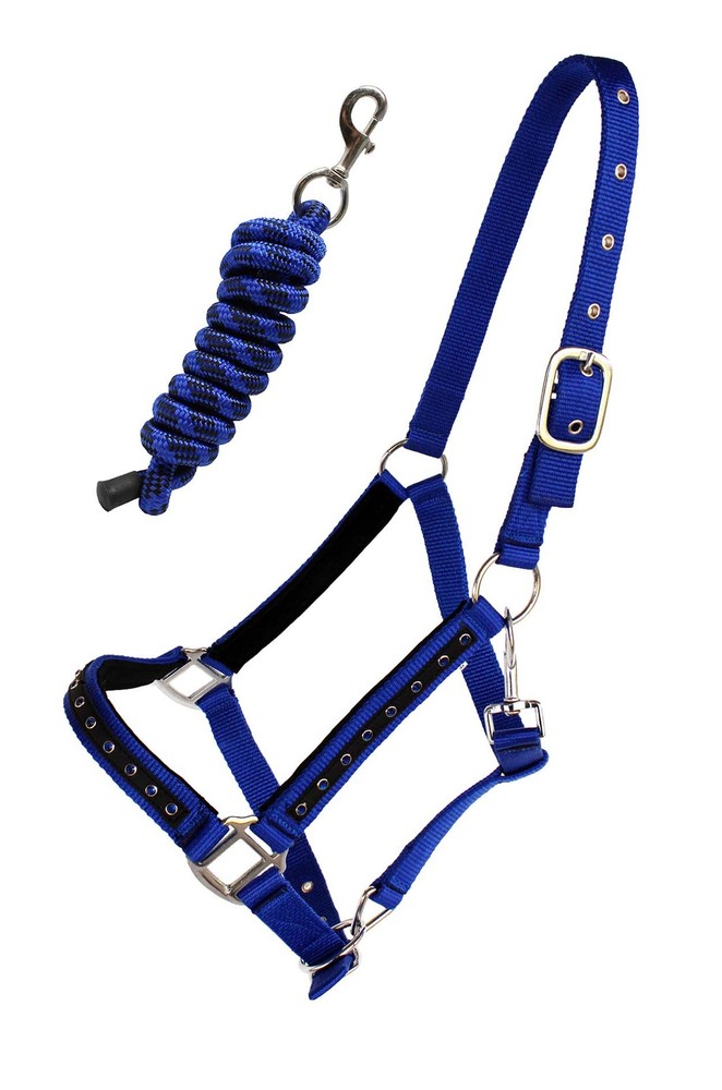 Nylon Horse Halter Hardware Padded Lead Rope Tack Blue Rodeo Bling 606162RBCH