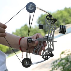 10» Mini Compound Bow Set 12lbs Shoot Range 40-50m Toy Game Gift Practice