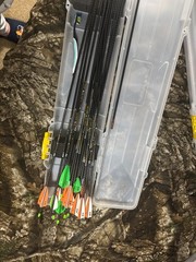 Victory VAP SS Elite V1 250 spine full length 50 gr inserts, 17 arrows!