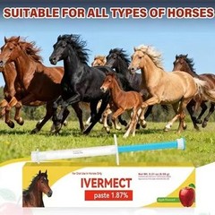 3 Pack New Paste Wormer Horse Dewormer Apple Flavor US Free Shipping EXP 1/2028