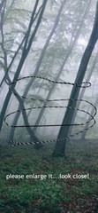 BCY B55 Flemish Twist Bowstrings – 16 Strand –Recurve/Longbow – Choose Length