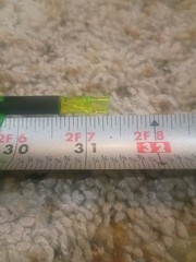 Gold Tip Kinetic 300 Spine 9 Arrows