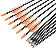 Elong Fiberglass Arrows Archery 24 Inch Target Shooting Practice Safetyglass …