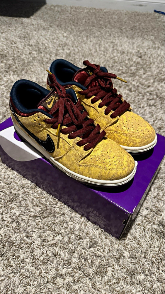 Nike SB Dunk Low Pro