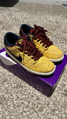 Nike SB Dunk Low Pro