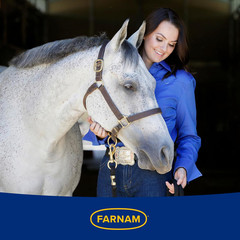 Hindgut Stabilizer Pellets, Daily Digestive & Immune Supplement for Horses Helps