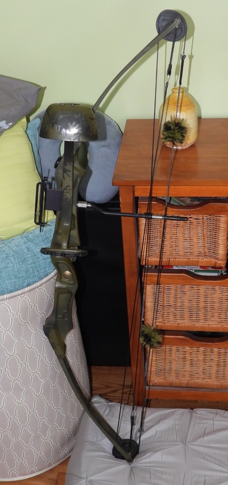 Bear LH Whitetail II Vintage Compound Bow Archery Hunting With Quiver And Sight