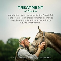 Quest Gel Moxidectin Horse Dewormer Early Grazing Season 0.5oz Sure-Dial Syringe