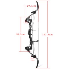 Compound Bow Set 40-55lbs Adjustable 320FPS Fishing Hunt Recurve Archery Shoot