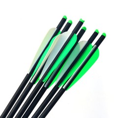 12pcs 20» Carbon Crossbow Bolts Hunting Arrows OD8.8mm 100Gr Arrowheads /Quiver