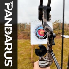 Compound Bow Set 15-45lbs for Pull Beginner and Teens Black Right Handed