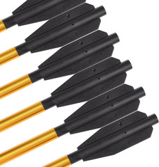 Fishing Bolts with Harpoon Steel Point for 50-130 Pounds Crossbow Fish Hunting