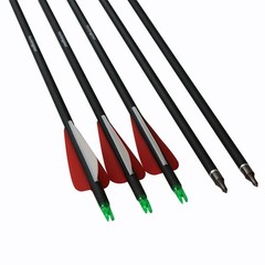 30 Inch Carbon Arrows Spine 500 For Compound/Recurve Bow Hunting Removable Tips