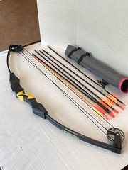 Barnett Duck Commander Compound Bow with Quiver and Arrows