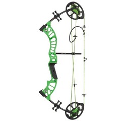 Compound Bow Kit 10-30lbs Hunting Bow Set for Junior Kids & Youth Archery Shoot