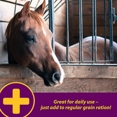 Horse Health Apple-Dex Apple Flavored Electrolytes 30 Pound 240 Days