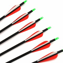 12Pack 30-inch Carbon Arrows SP500 Archery Hunting For Compound&Recurve Bow