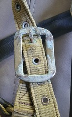 LeMieux Capella Halter – Full