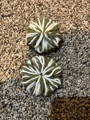 Recurve Silencers Pair)- Made w/100% Wool & Acrylic. New Look-Same Quality