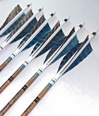 Victory wood grain traditional arrows