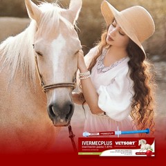 VETSORT Horse Paste Dewormer Apple Flavor Wormer 1.87% EXP 10/2027 (3 pack)