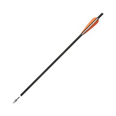 20″ Crossbow Bolts Arrows OD 8.8mm Half Moon Nocks /Hunting Broadheads/LED Nocks