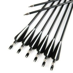 Archery 30″ Fiberglass Arrows Practice & Hunting Quiver for Compound Recurve Bow