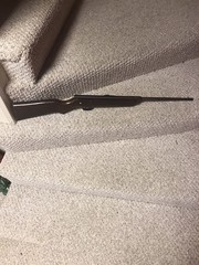 Vintage Crosman V-350 Slide Action BB Air Rifle Fairport NY Wood Stock USA