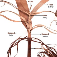 BULL WHIP 04 feet to 16 feet long 16 Plaits Chocolate Brown Indiana jones whip