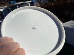 Disc Golf Innova First Run Rainbow Alligator 175G Star Prototype Rat #2249