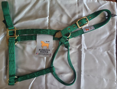 Hamilton 1” Nylon Halter Draft (x-Large) size Green NWT