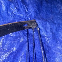 Browning Cobra Compound Bow 50lbs Right Hand Bow Hunting 29-31in Draw 50in