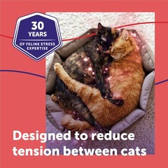 Feliway Multicat 30 Day Cat Calming Plug In Pheromone Diffuser Starter Kit –