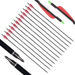 Hunting 12pcs 28″ Carbon Arrows Vane Spine 400 for Compound/Recurve Bows