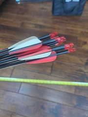 32-In Aluminum Arrows With Practice Tips Feathers And Nocks