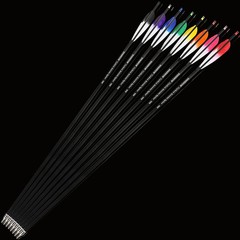 Carbon Arrow SP500 28″ 30″ 31″ Shaft Archery Recurve Compound Bow Hunting Target