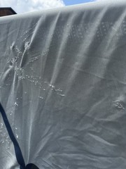 75” Bucas Buzz Off Full Neck Horse Fly Sheet w/Belly Protection – Used