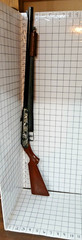VTG DAISY MODEL 25 WARDS HAWTHORNE MALLARD DUCK STAMP EDITION BB GUN RIFLE