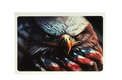 Eagle USA FLAG Patriotic Credit Debit Card Skin Cover Sticker 1PC