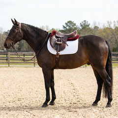 Half Pad for Saddle Correction Breathable, Non-Slip, Durable Quilted Design