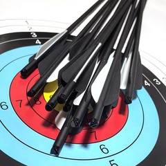 Archery Hunting 20 inch Crossbow Arrows +/or 100grain Broadheads Shooting Target