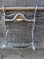 Western Silver Show Bit – Oval Concho – Copper Hood & Roller – 5 Inch Mouth