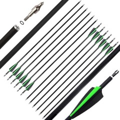 12Pcs 30 Inch Carbon Arrow Practice Hunting Arrow for Compound Bow Recurve Bow