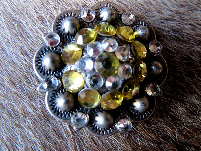 4 Conchos Rhinestone Bling Horse Saddle Bridle Tack Western Berry Concho CO366