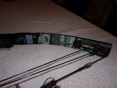 Martin M-1 Tiger Compound Bow