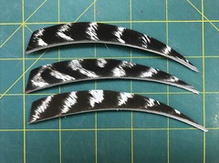 5″ Right Wing Shield Natural Barred Feather Fletching, 25Pk Archery 🇺🇸