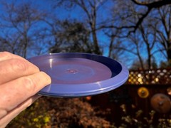 Star CRO Penned OOP New PFN (One of a Kind) Purple Gold Disc Golf Innova #5053