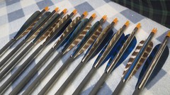 12 Carbon Express 300 Game Tracker Carbon Crossweave Arrows 28″ Feathers Nice!