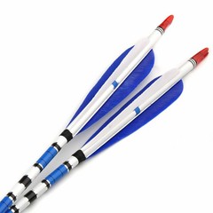 12Pcs 30″ Archery Blue Turkey Feathers Carbon Arrows Spine 500 For Bow Hunting